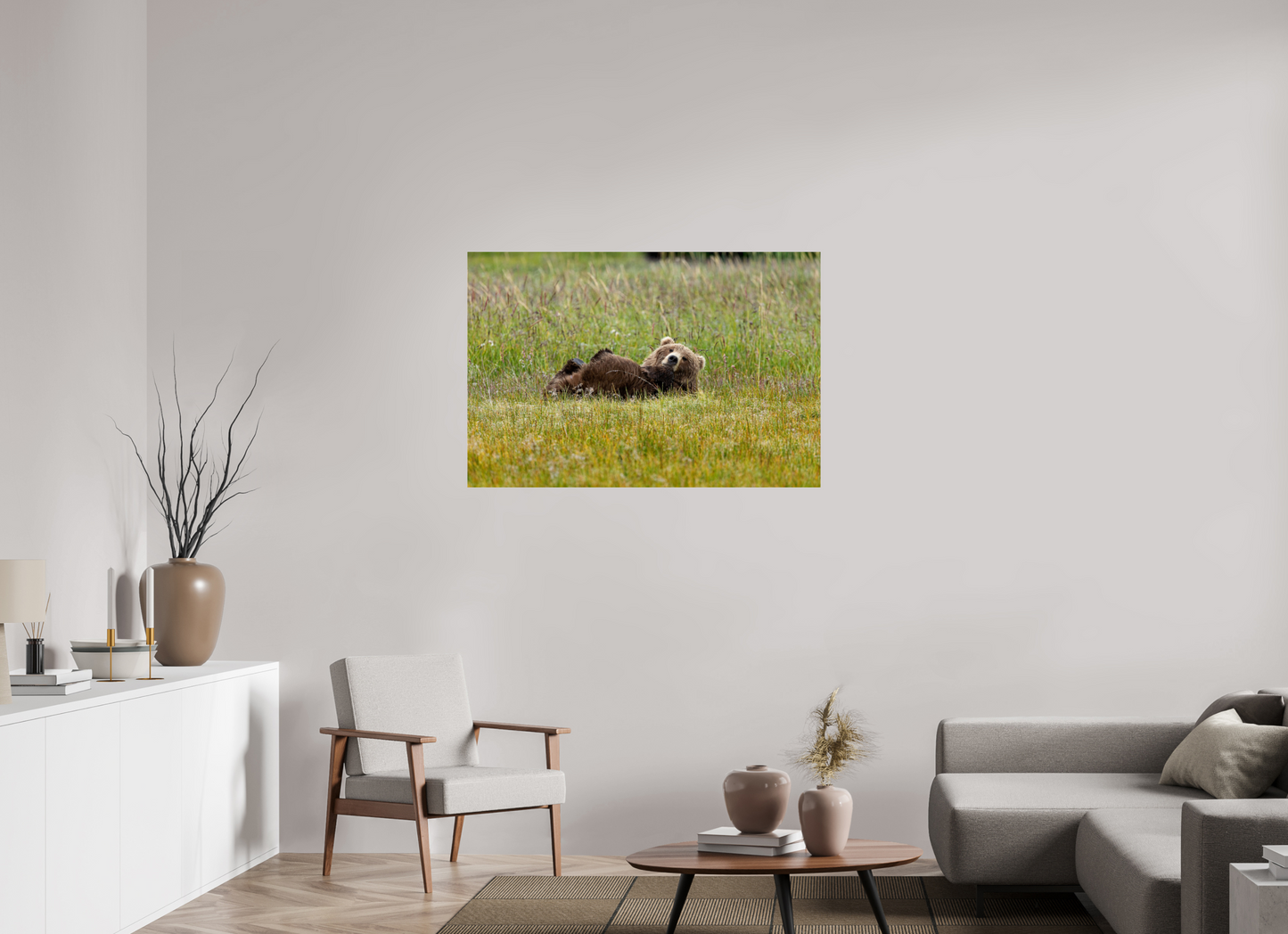 Brown bear Laying down