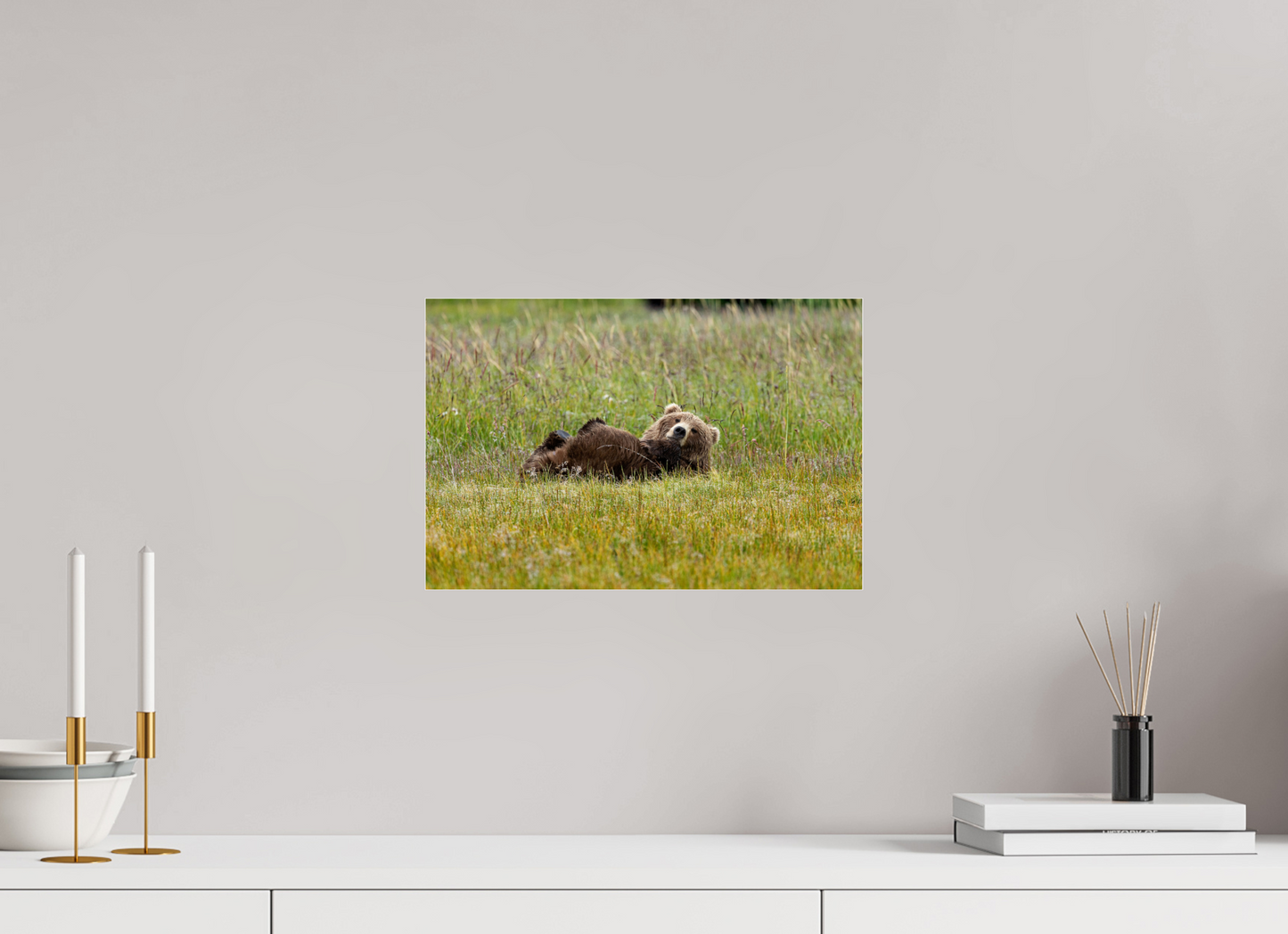 Brown bear Laying down