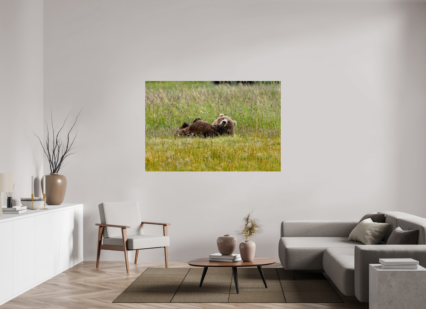 Brown bear Laying down