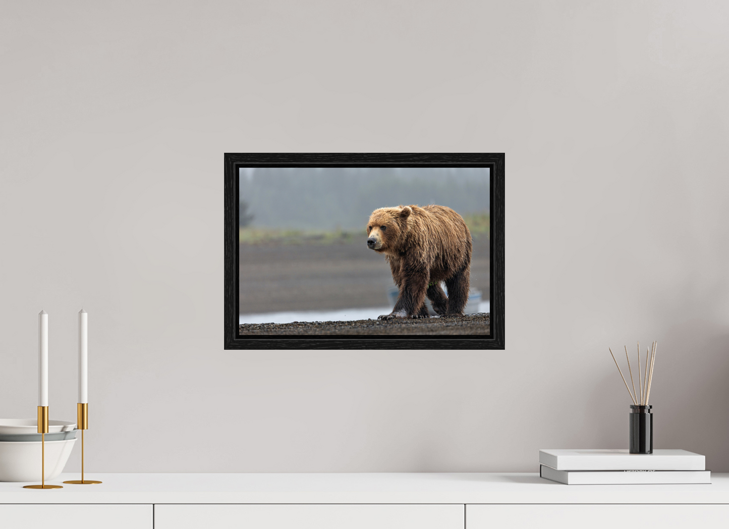 Costal Brown Bear