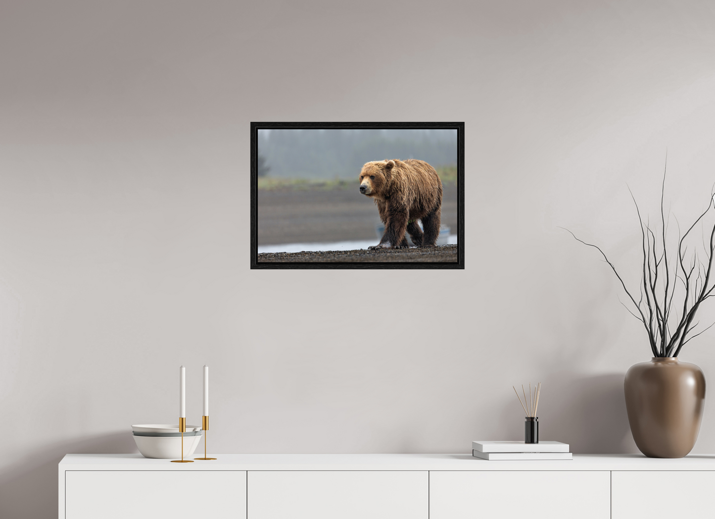 Costal Brown Bear