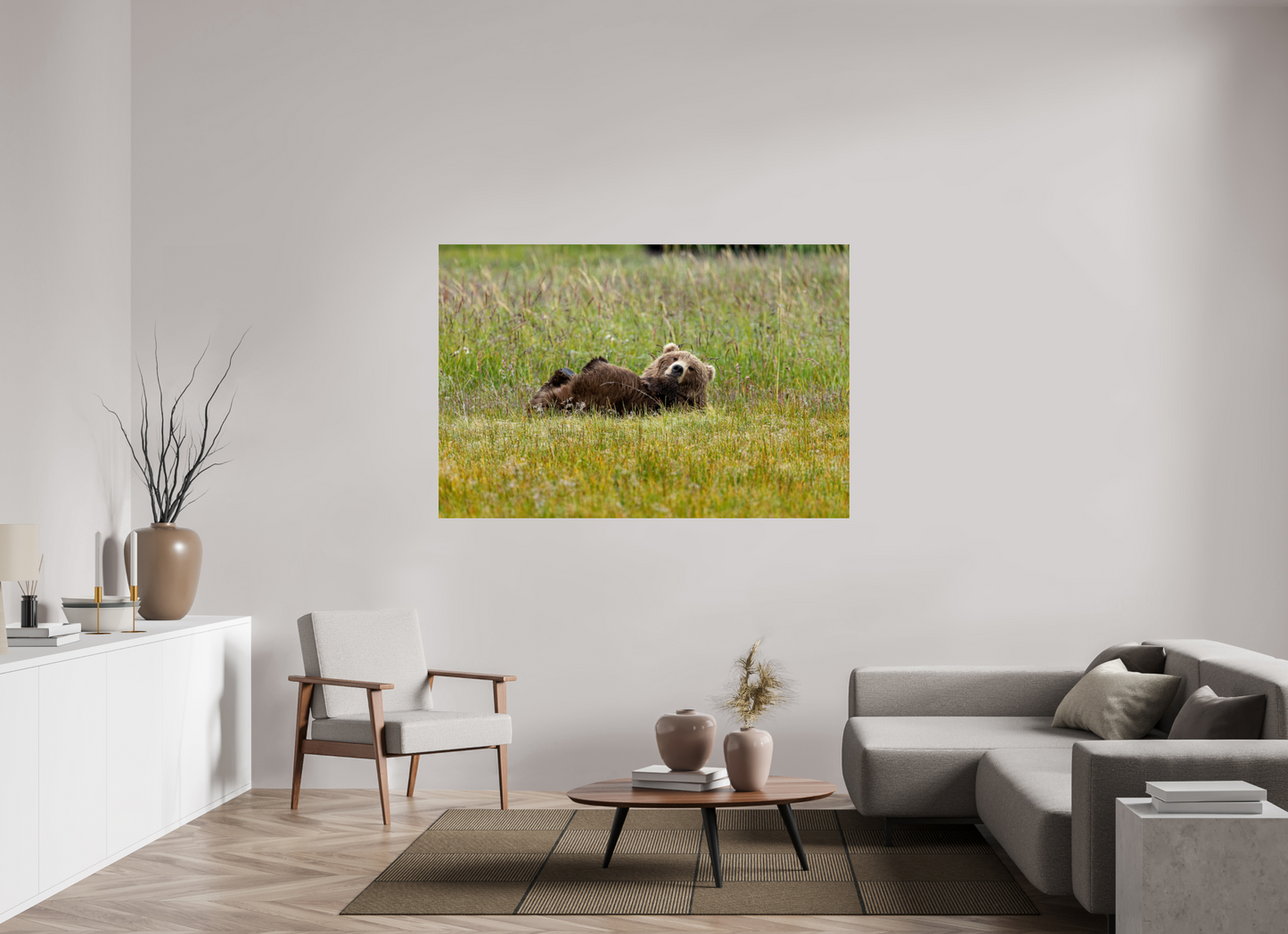 Brown bear Laying down