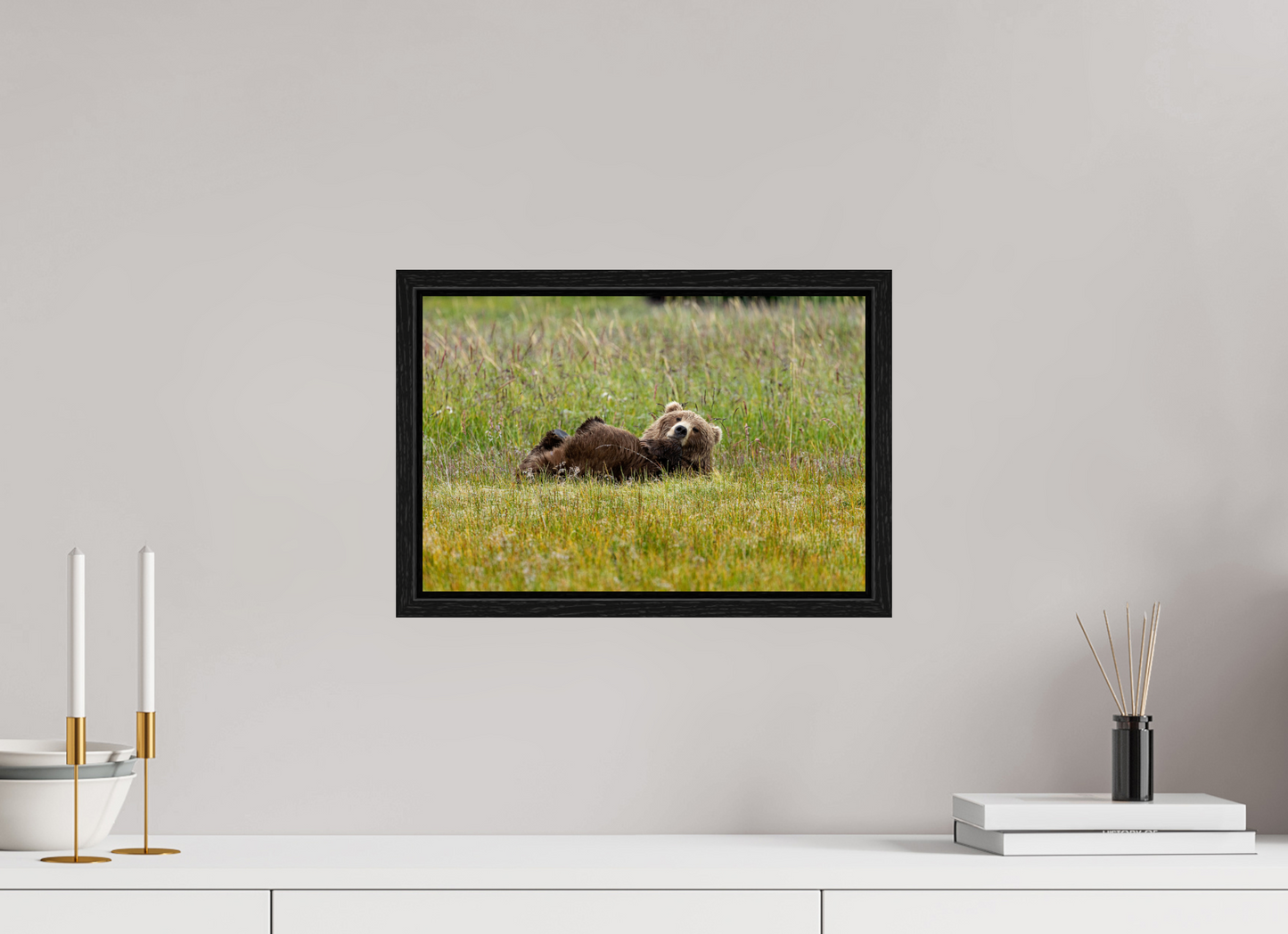 Brown bear Laying down