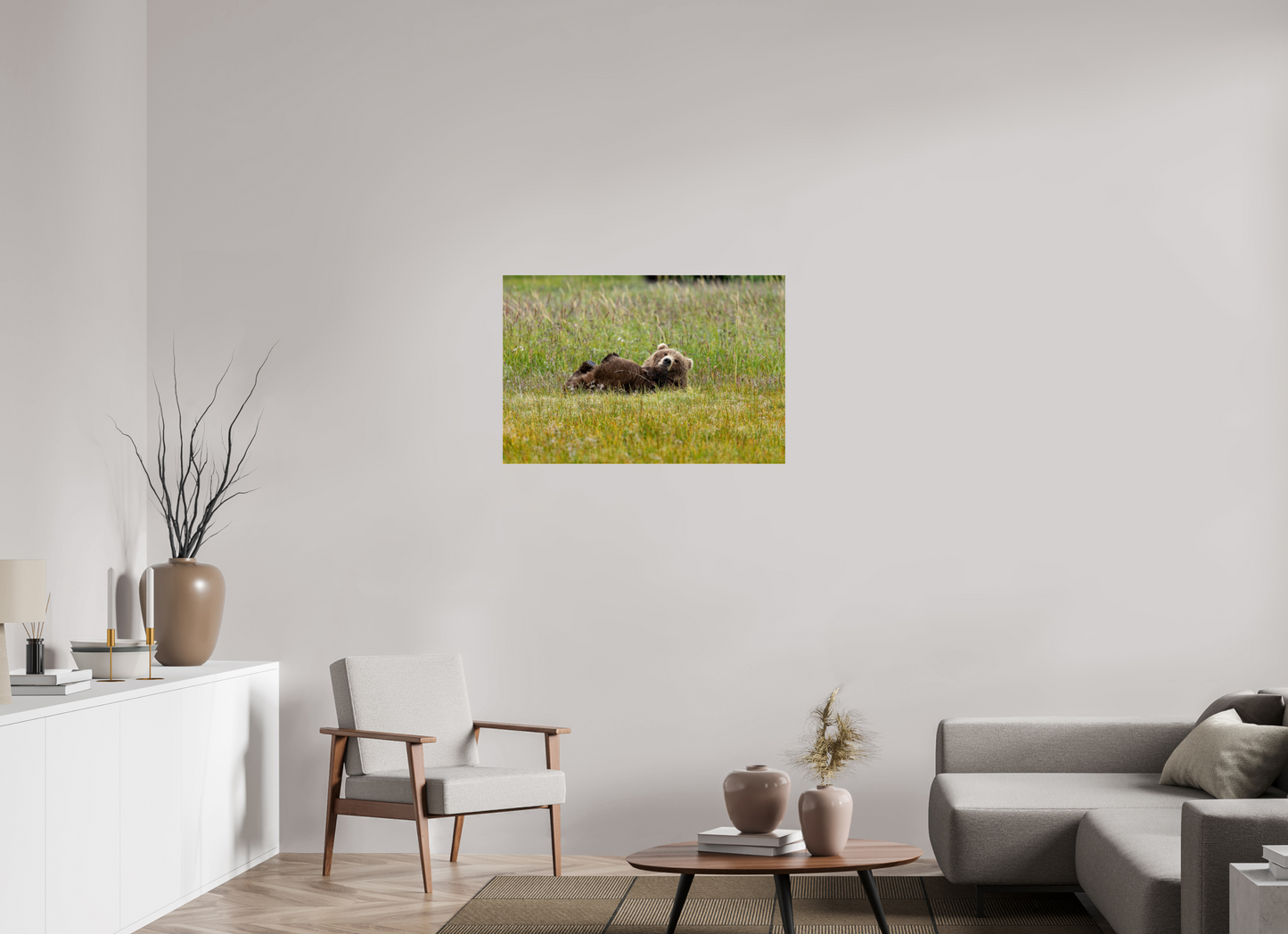Brown bear Laying down