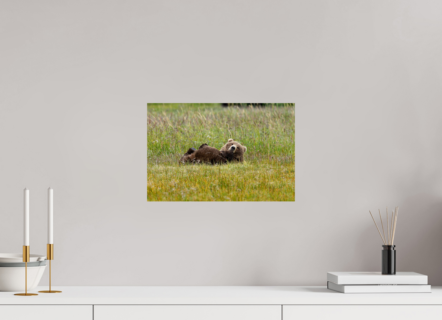 Brown bear Laying down