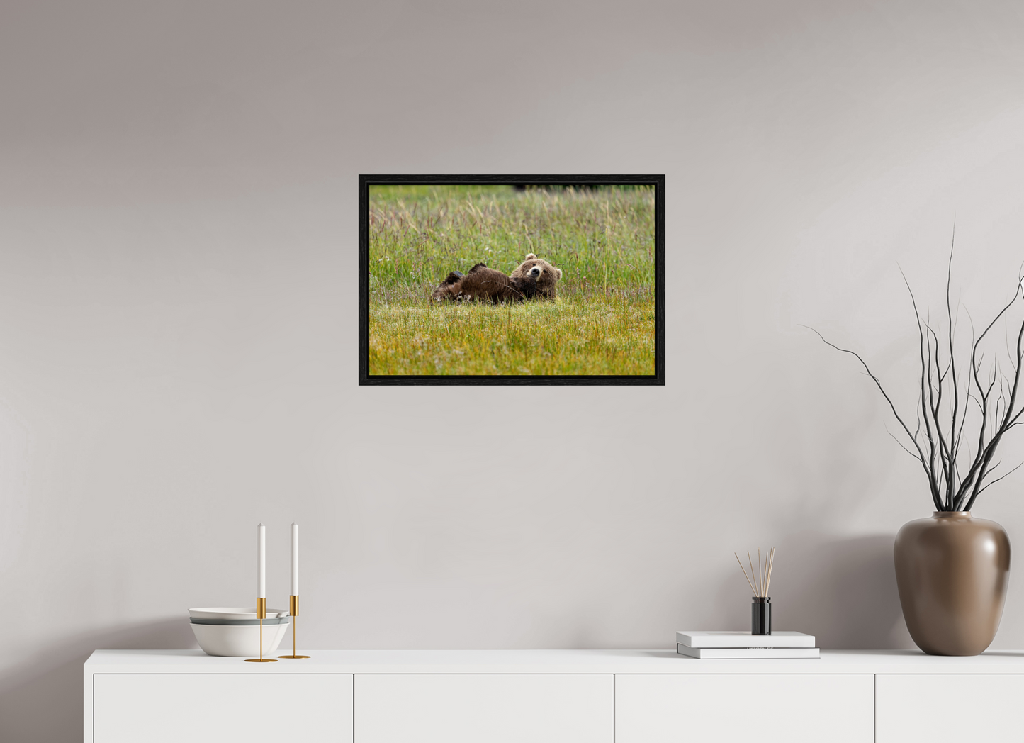 Brown bear Laying down