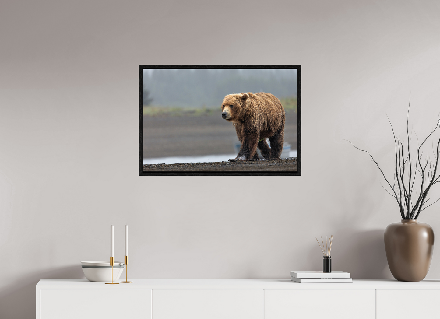 Costal Brown Bear