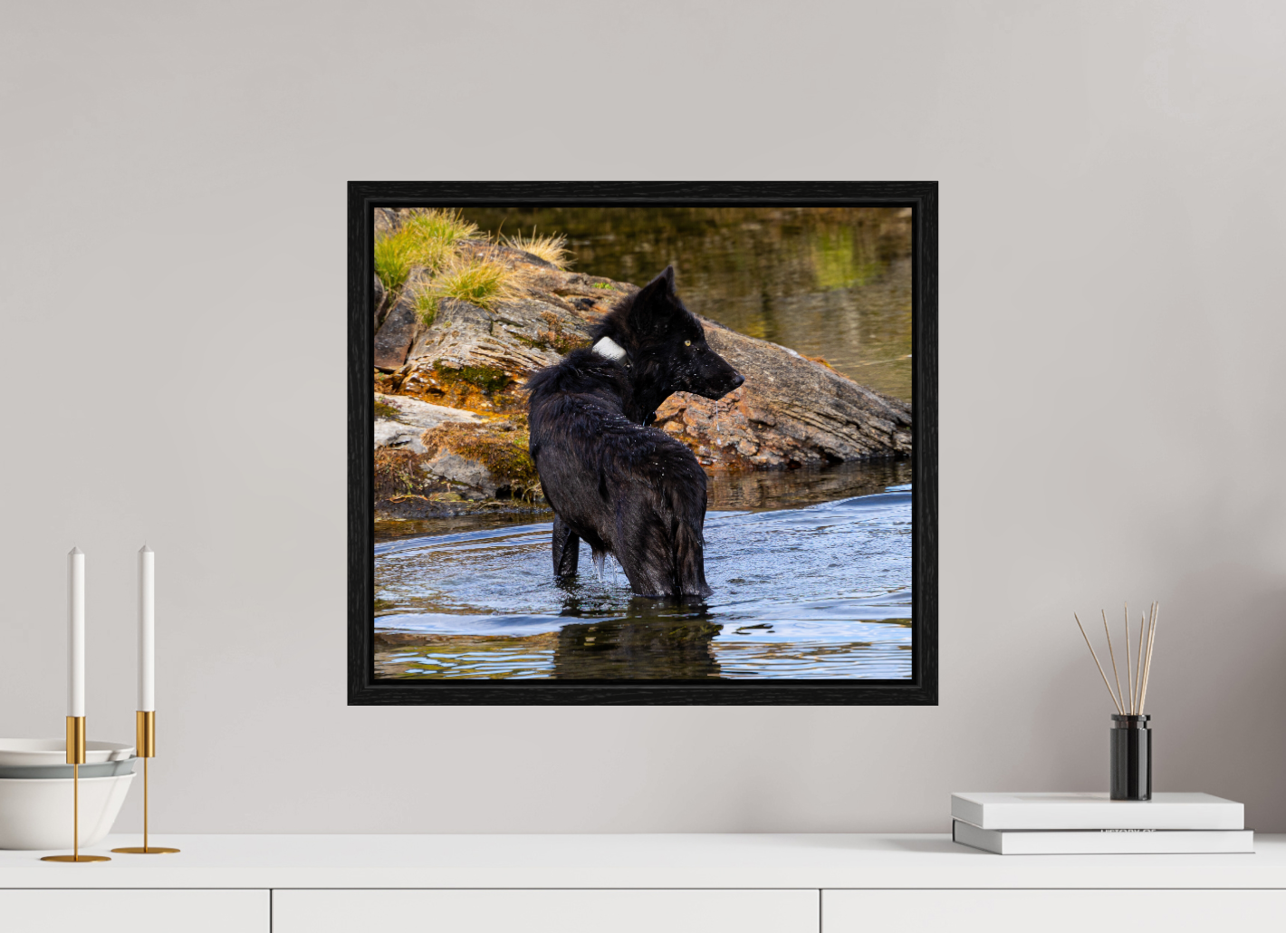 Black Wolf