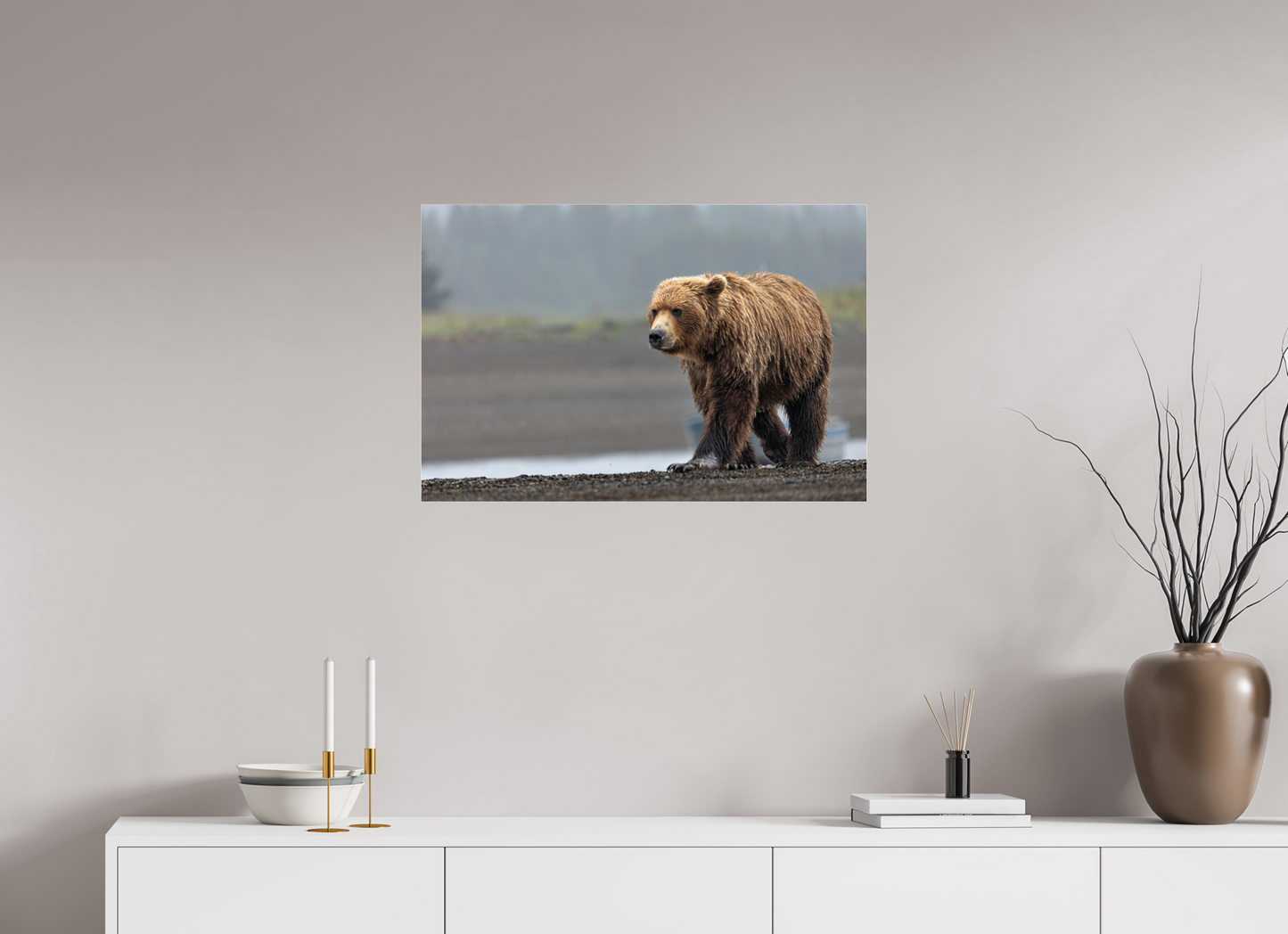 Costal Brown Bear