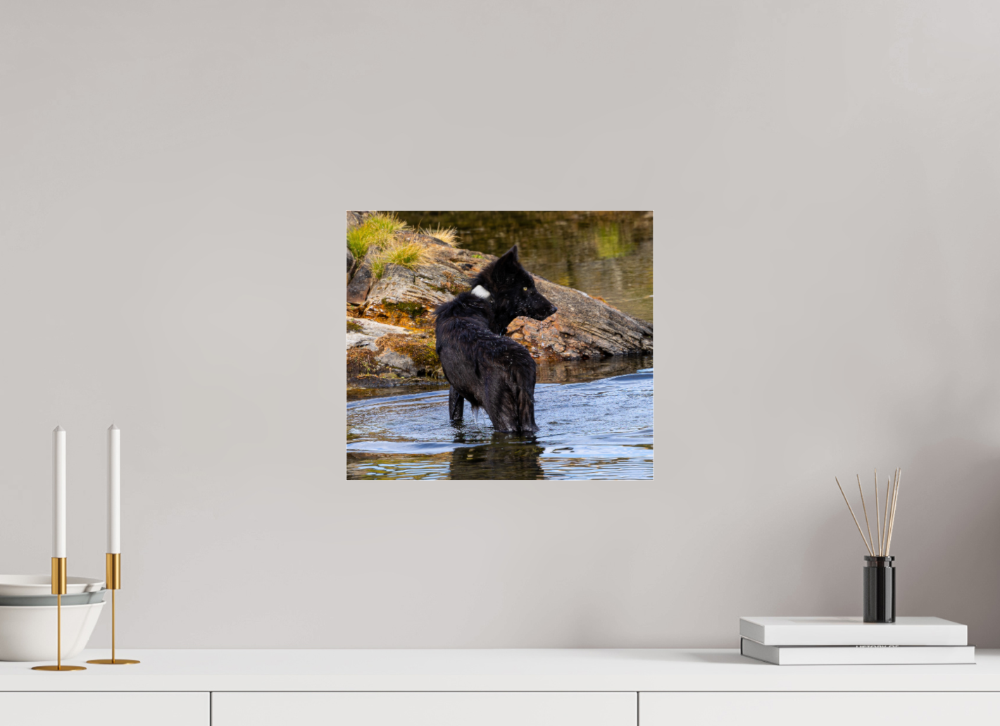 Black Wolf