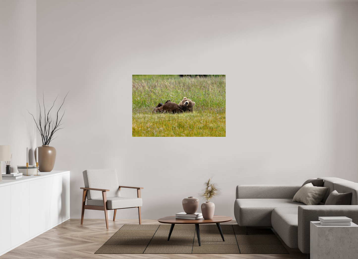 Brown bear Laying down