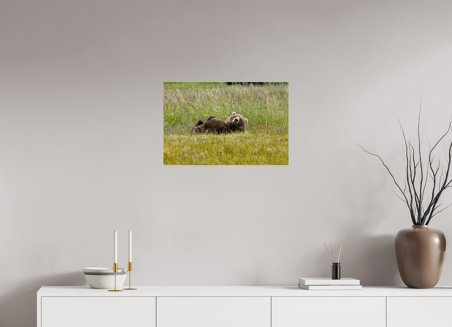 Brown bear Laying down