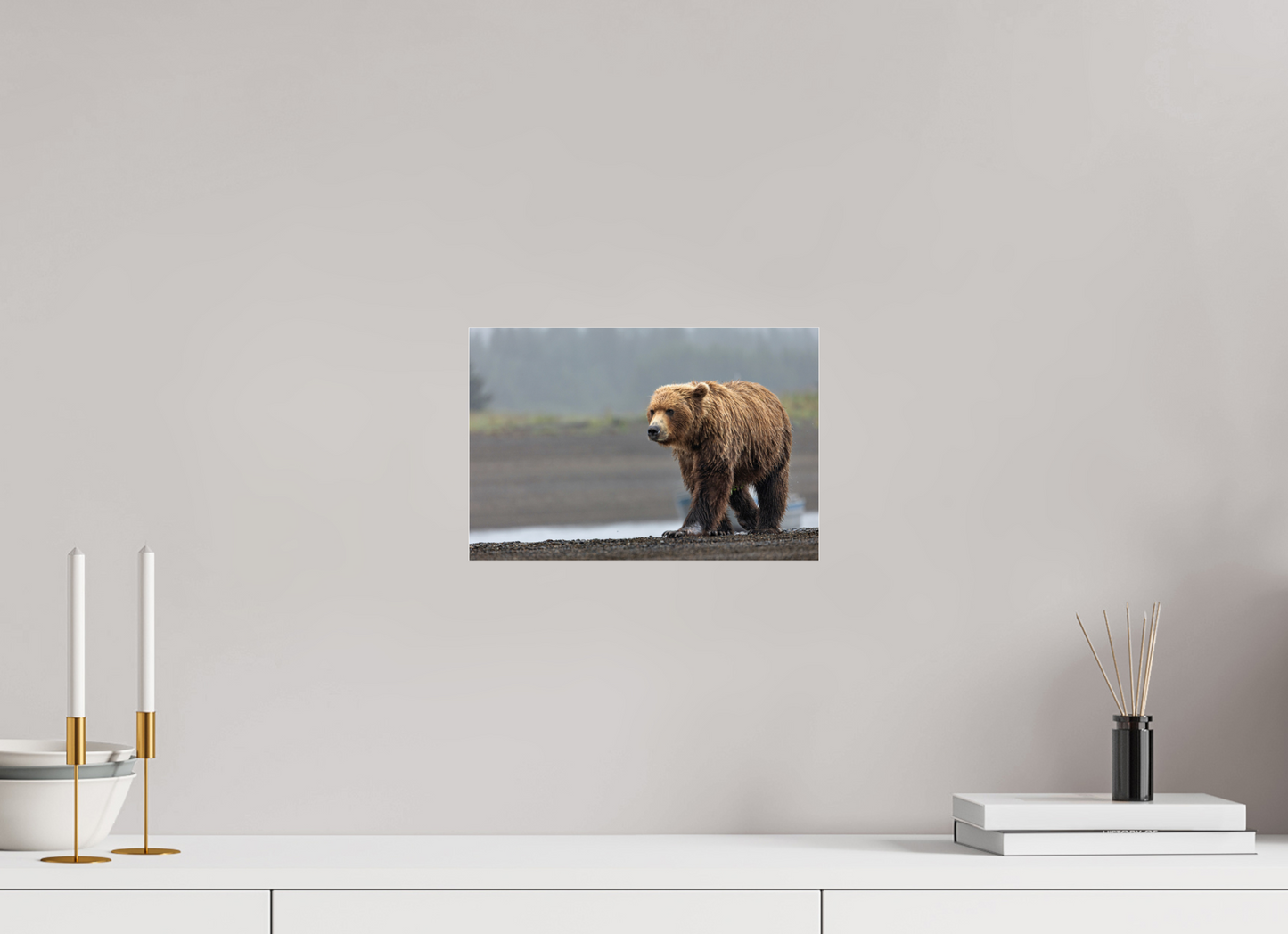 Costal Brown Bear