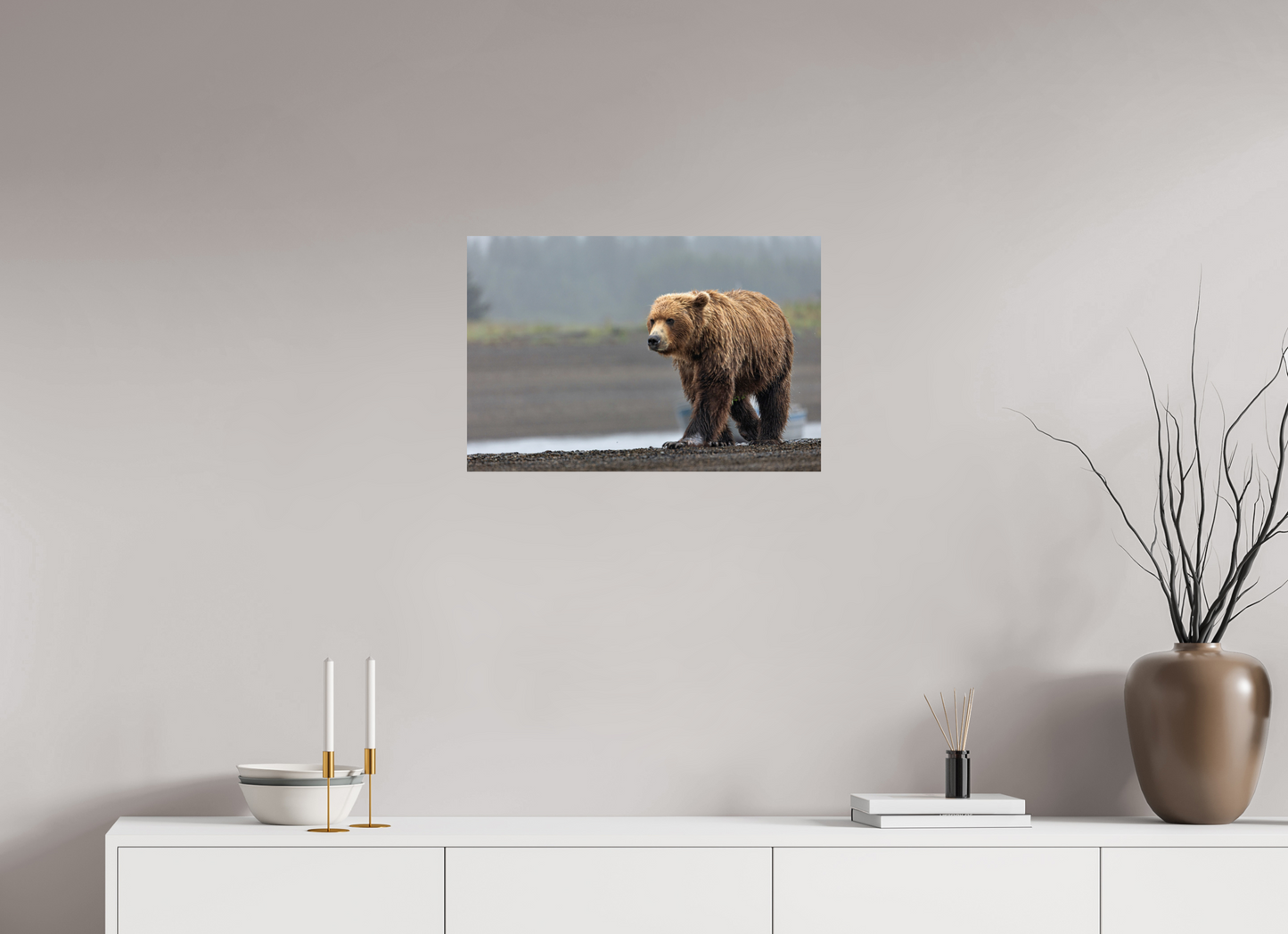 Costal Brown Bear