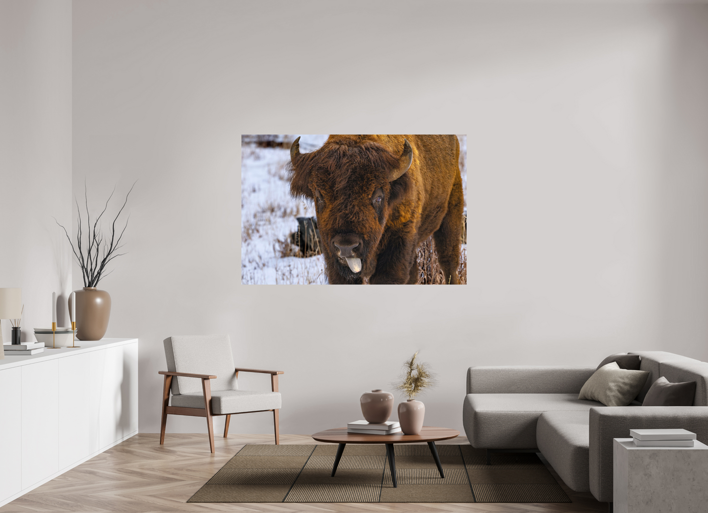 66 x 44″, Photo Print On Fuji Crystal DP II Bison Tongue