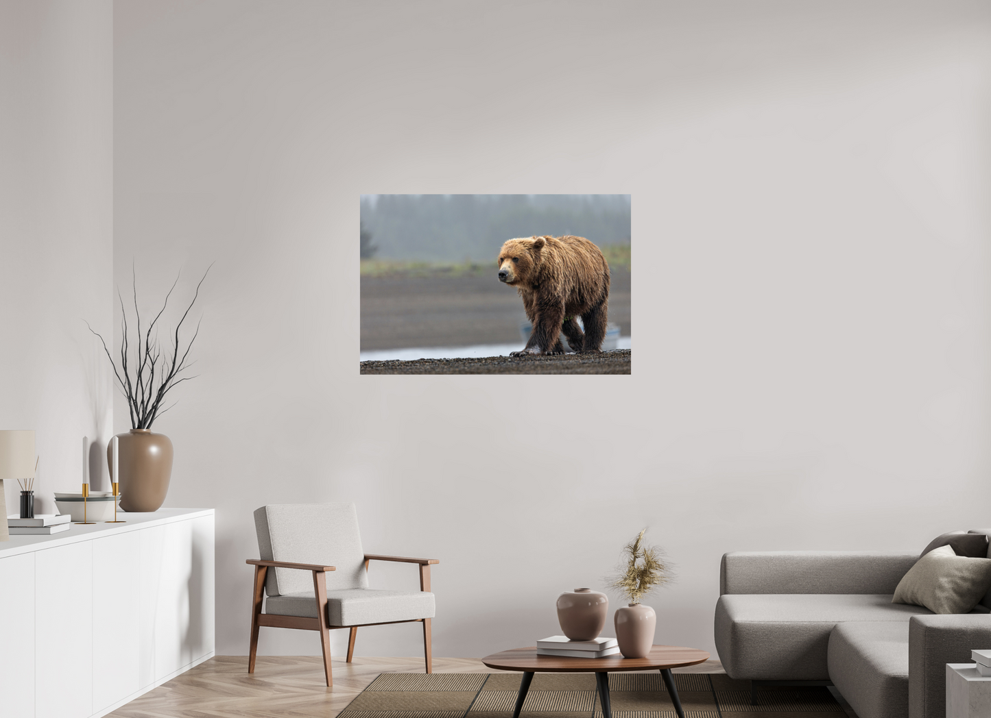 Costal Brown Bear