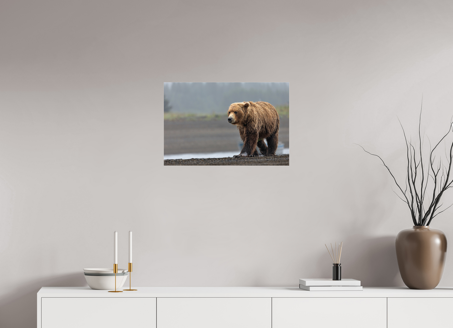 Costal Brown Bear