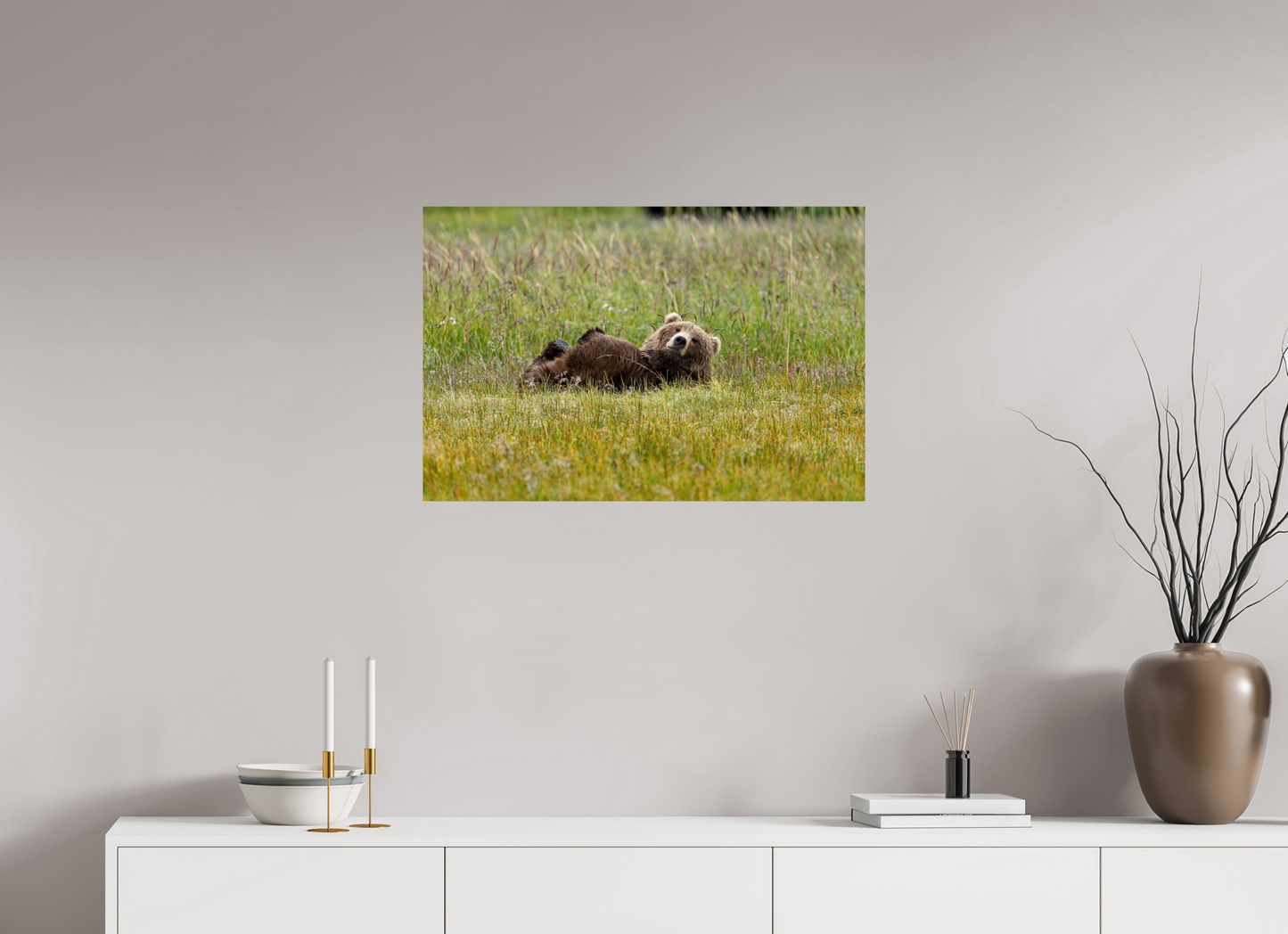 Brown bear Laying down
