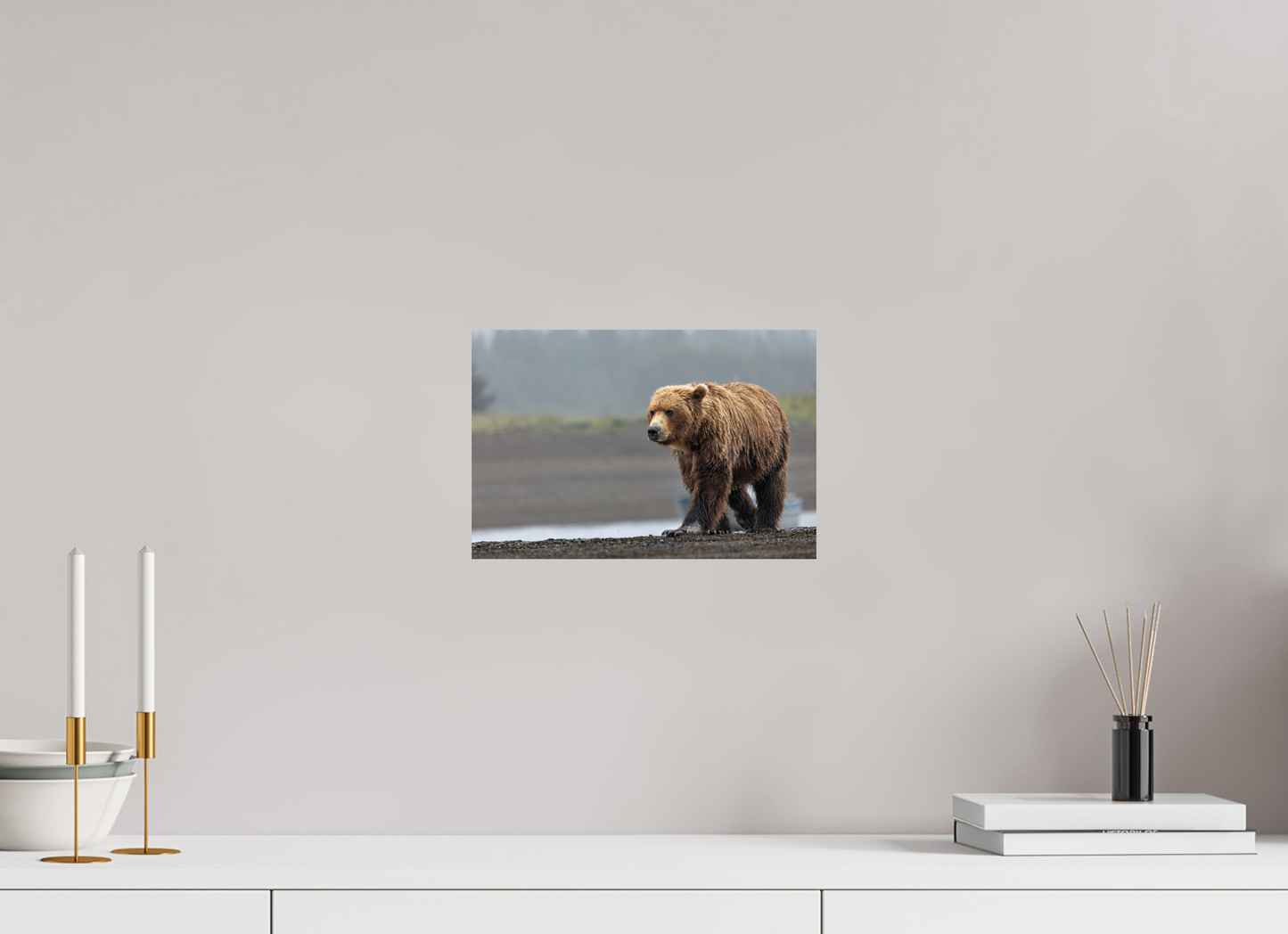 Costal Brown Bear