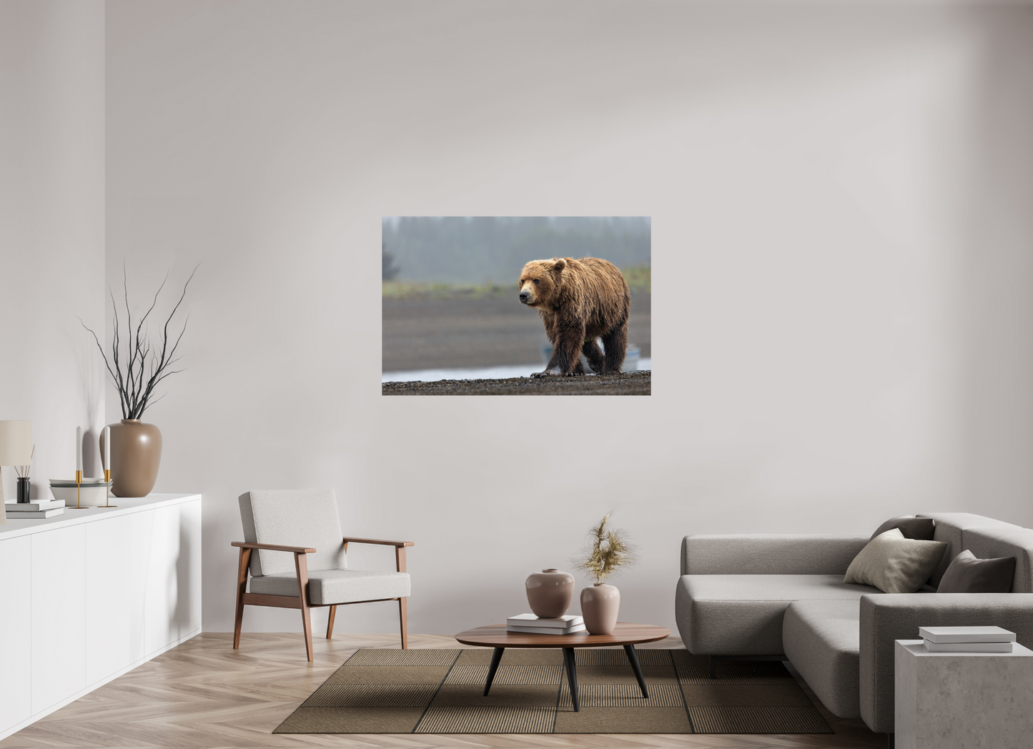 Costal Brown Bear