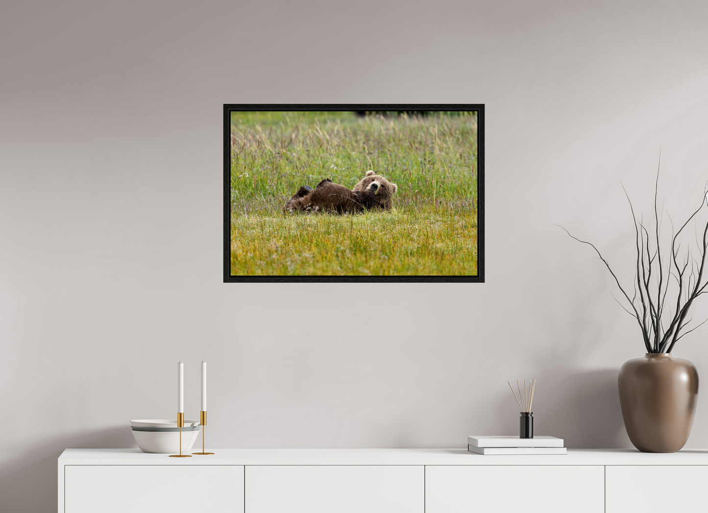 Brown bear Laying down
