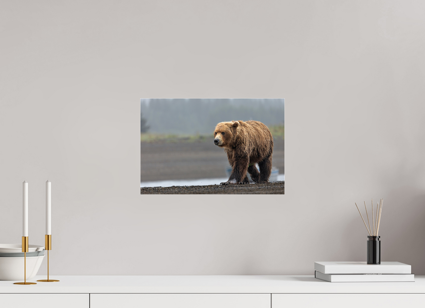 Costal Brown Bear
