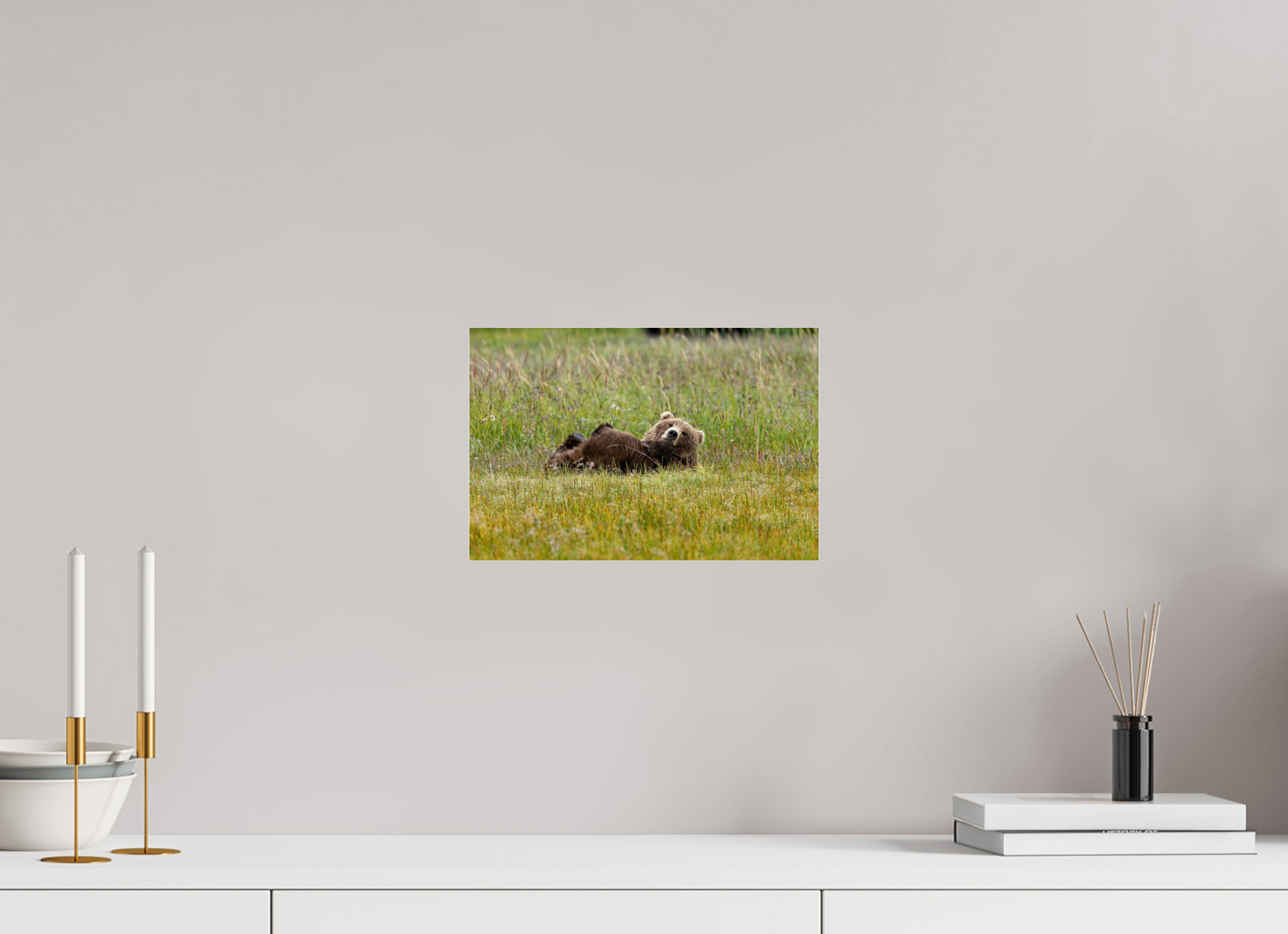 Brown bear Laying down