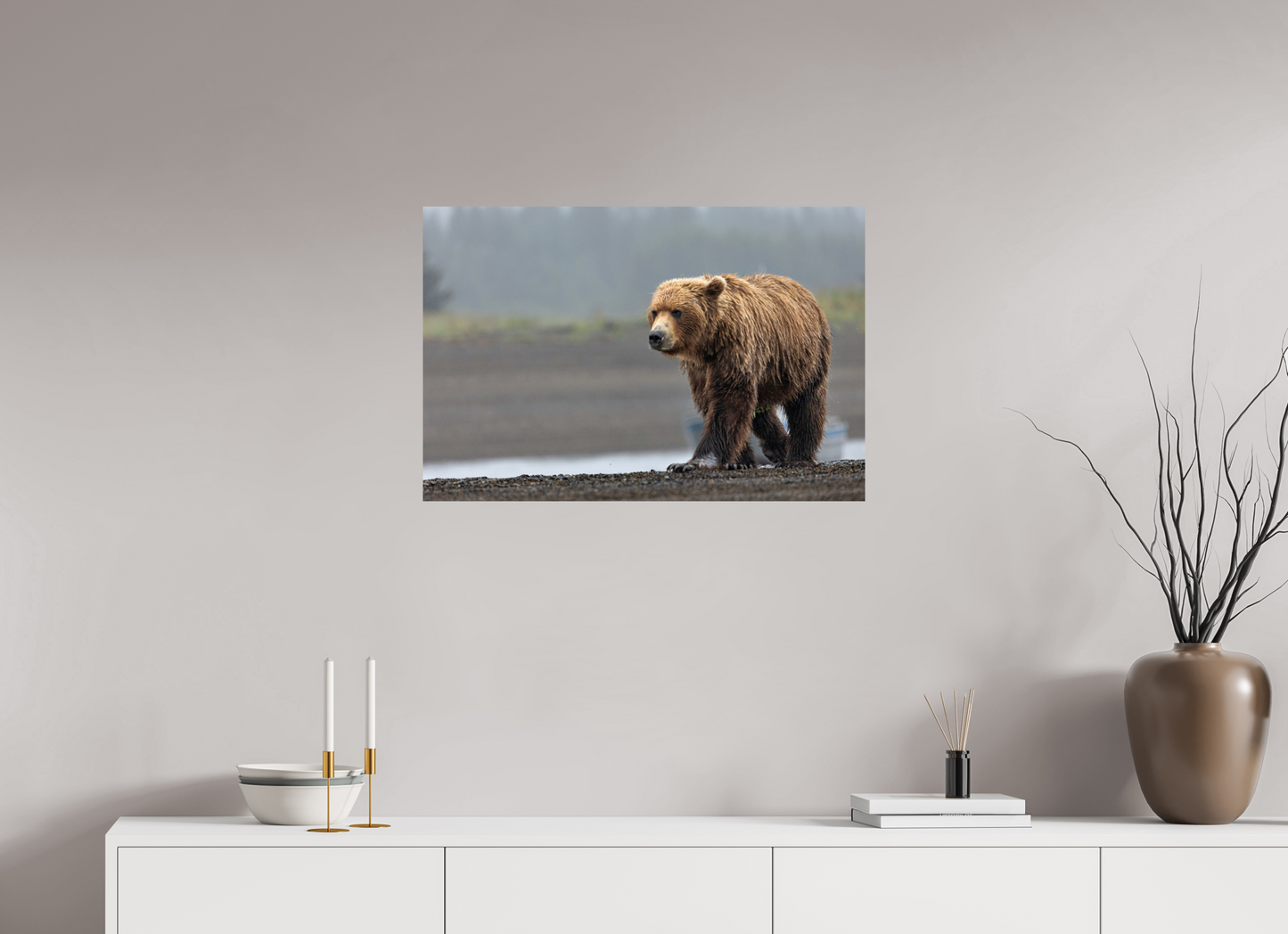 Costal Brown Bear