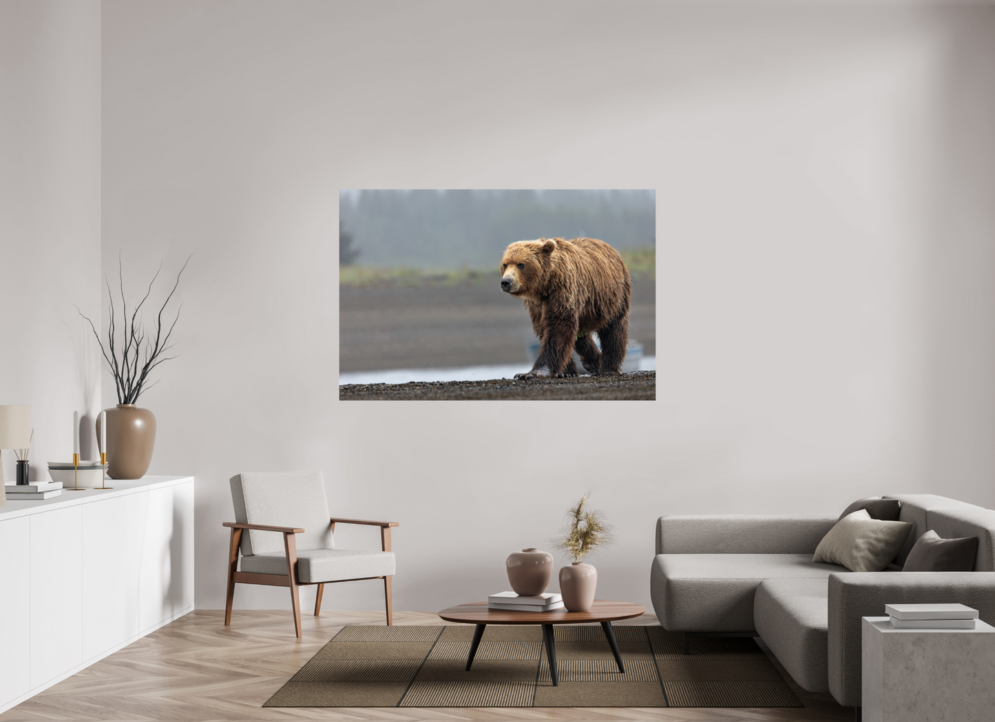 Costal Brown Bear