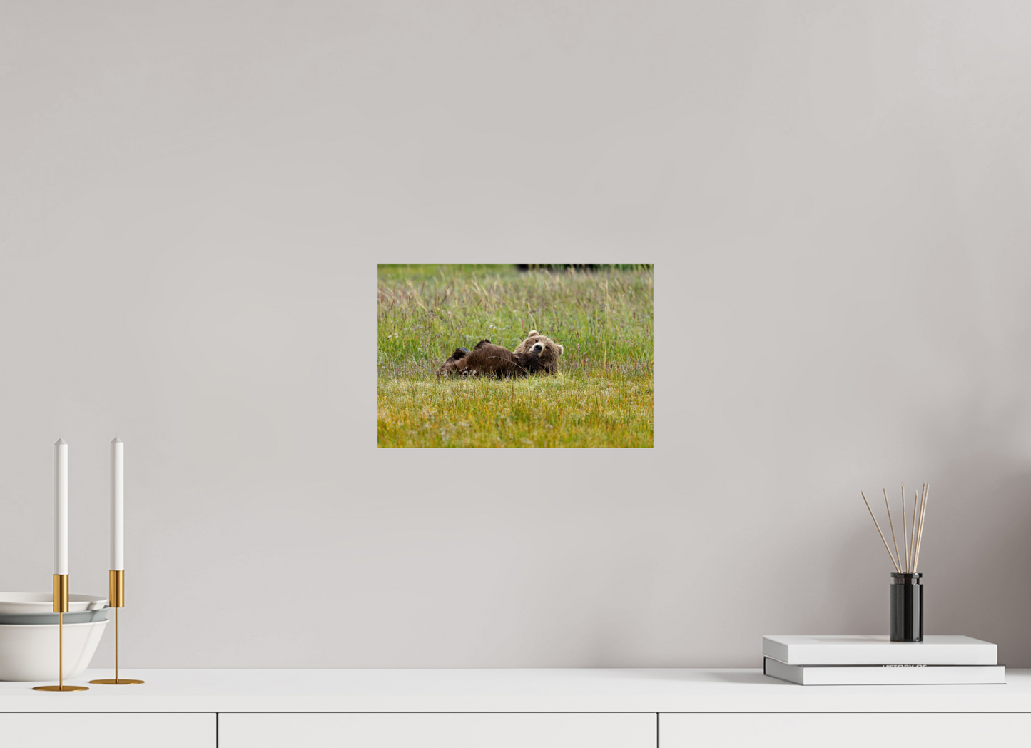 Brown bear Laying down