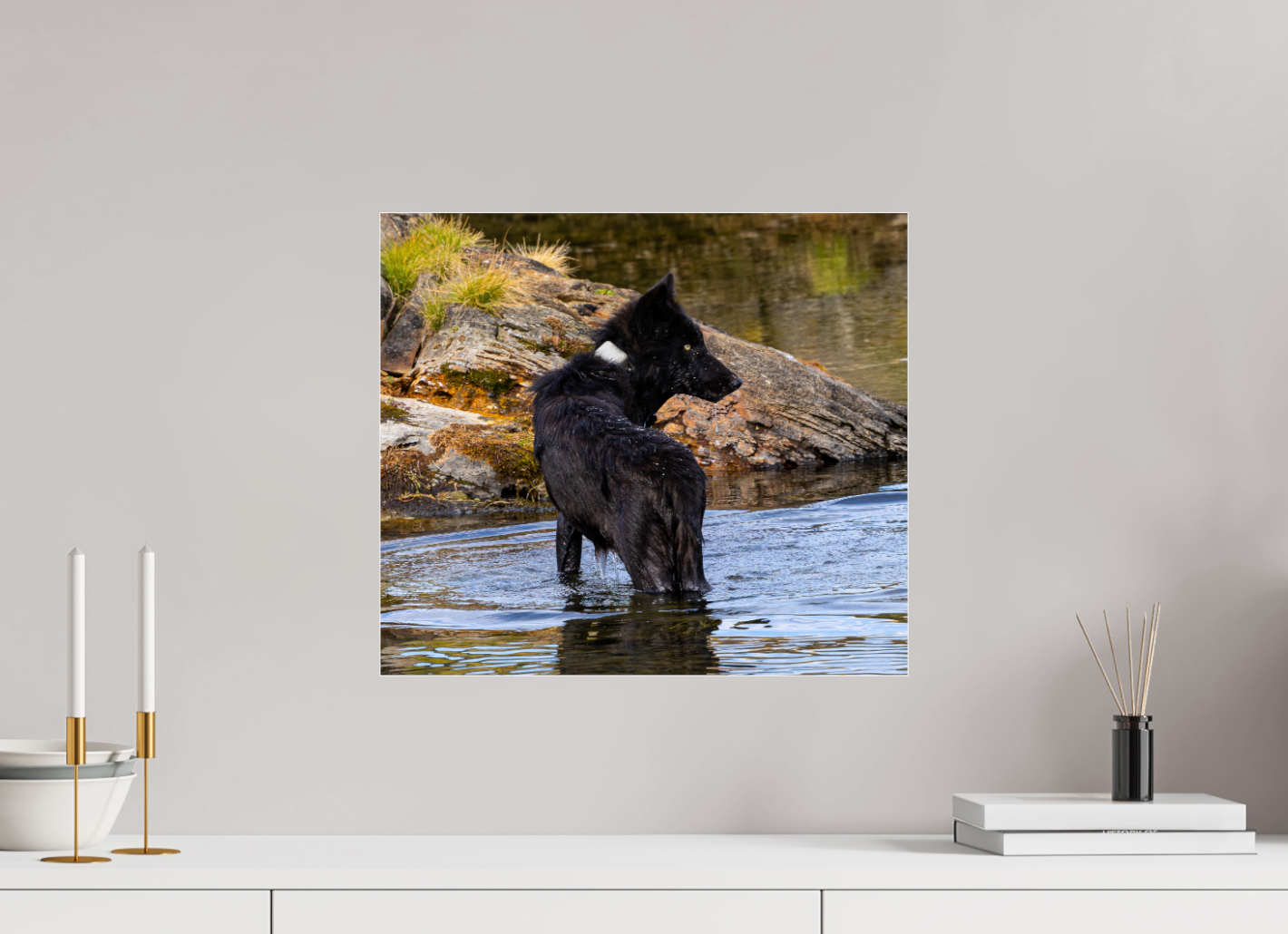 Black Wolf