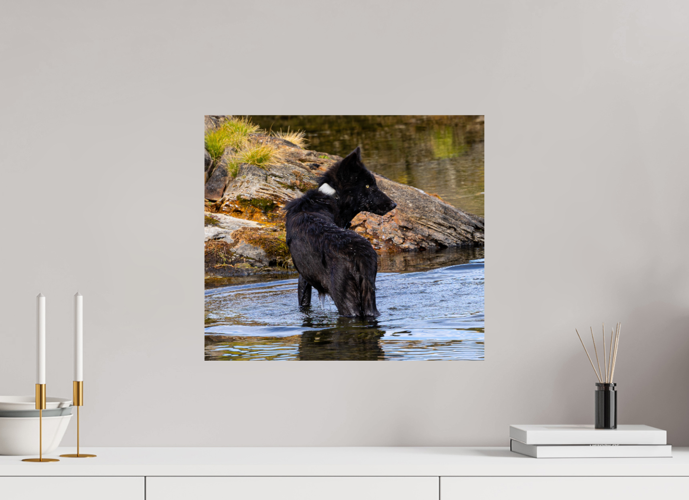 Black Wolf