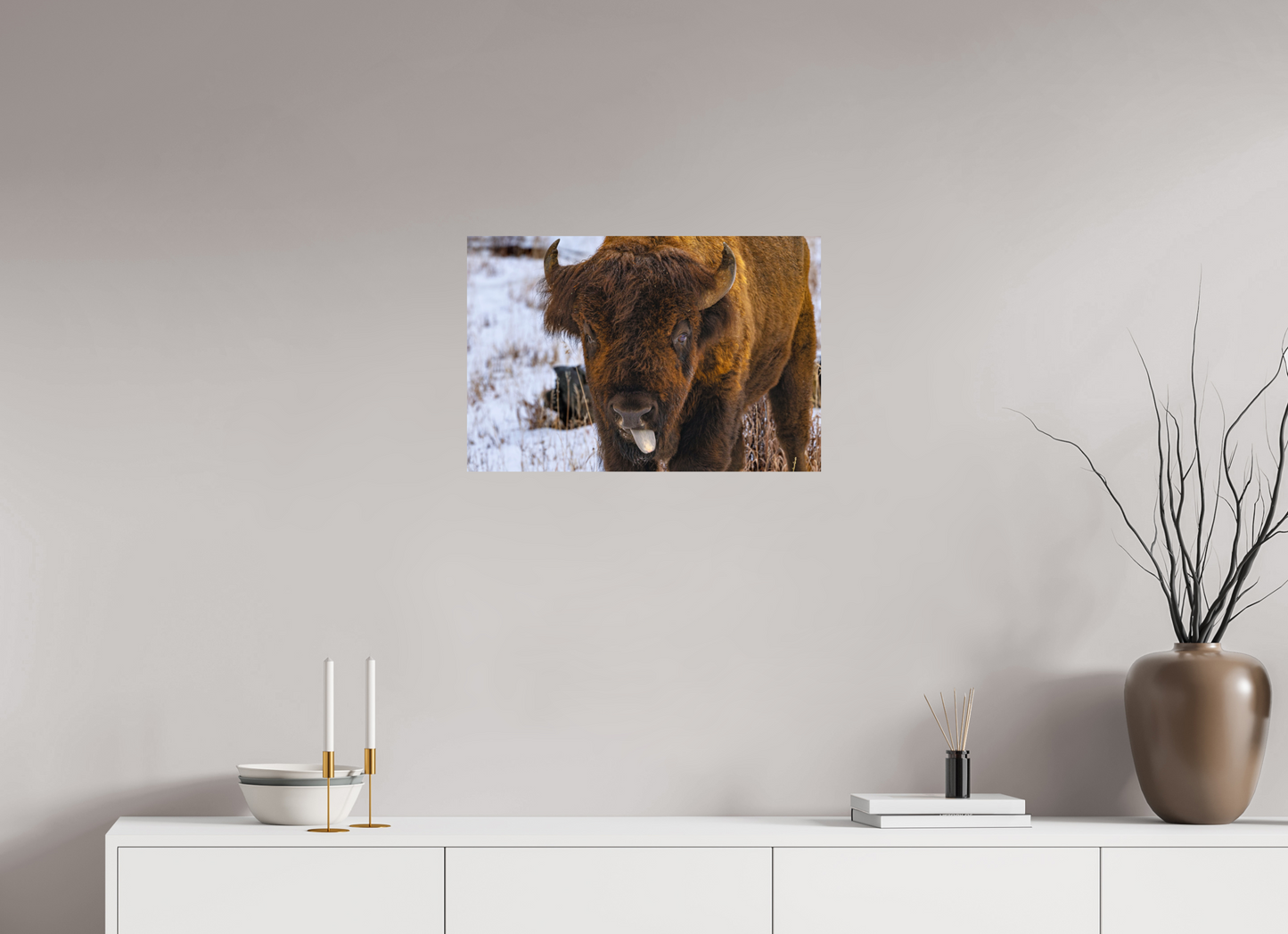 24 x 16″, Photo Print On Fuji Crystal DP II Bison Tongue