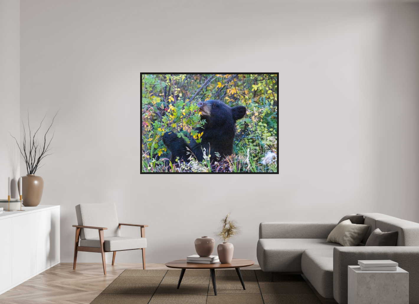 Young Black Bear