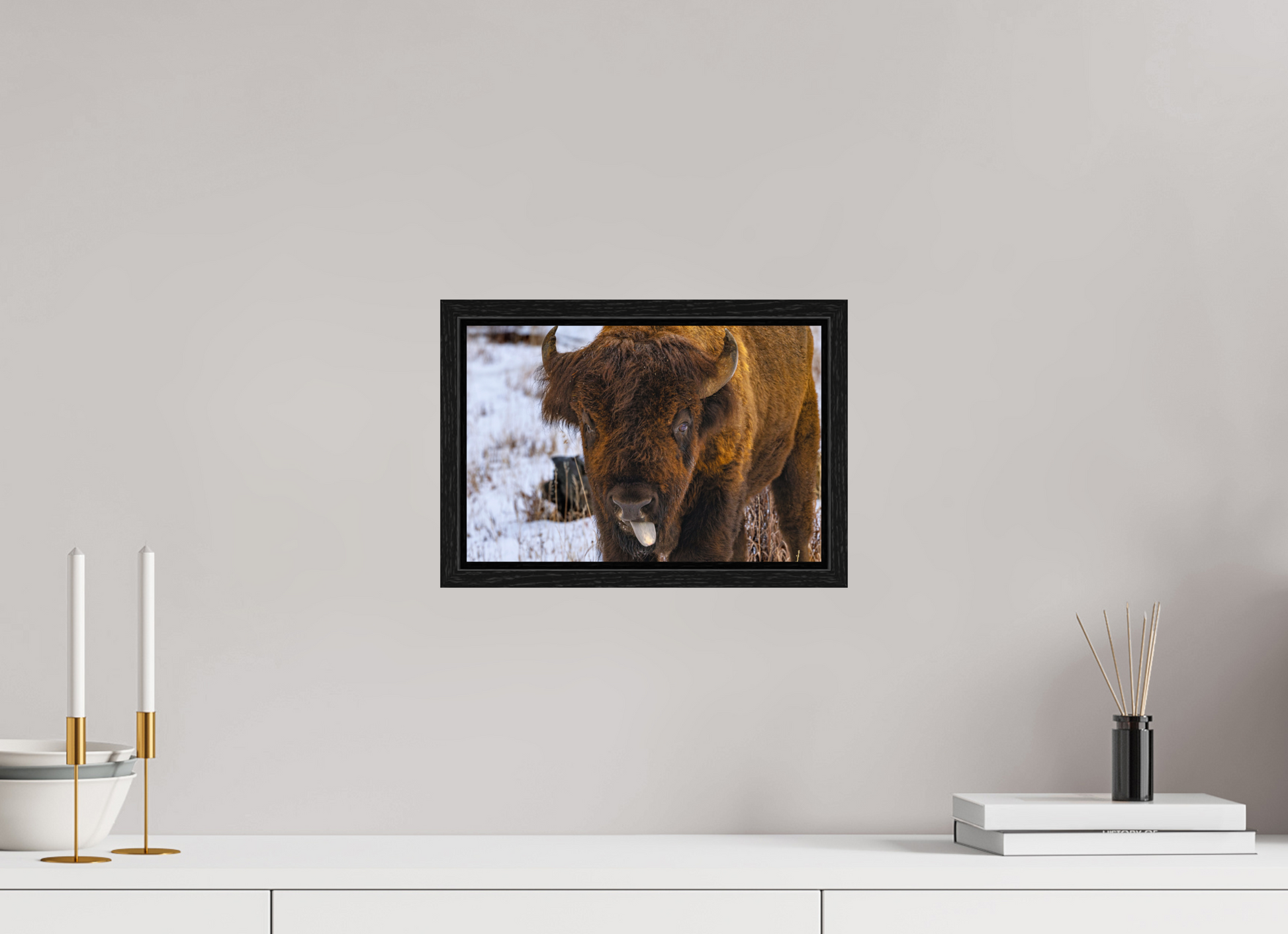 12 x 8″, Floater Frame Bison Tongue