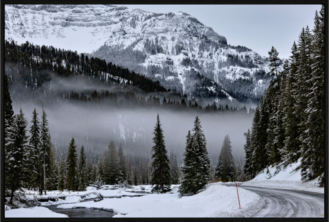 Main image Mountain Mist