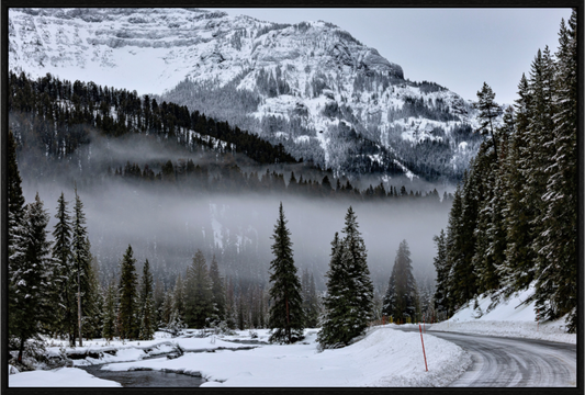 Main image Mountain Mist