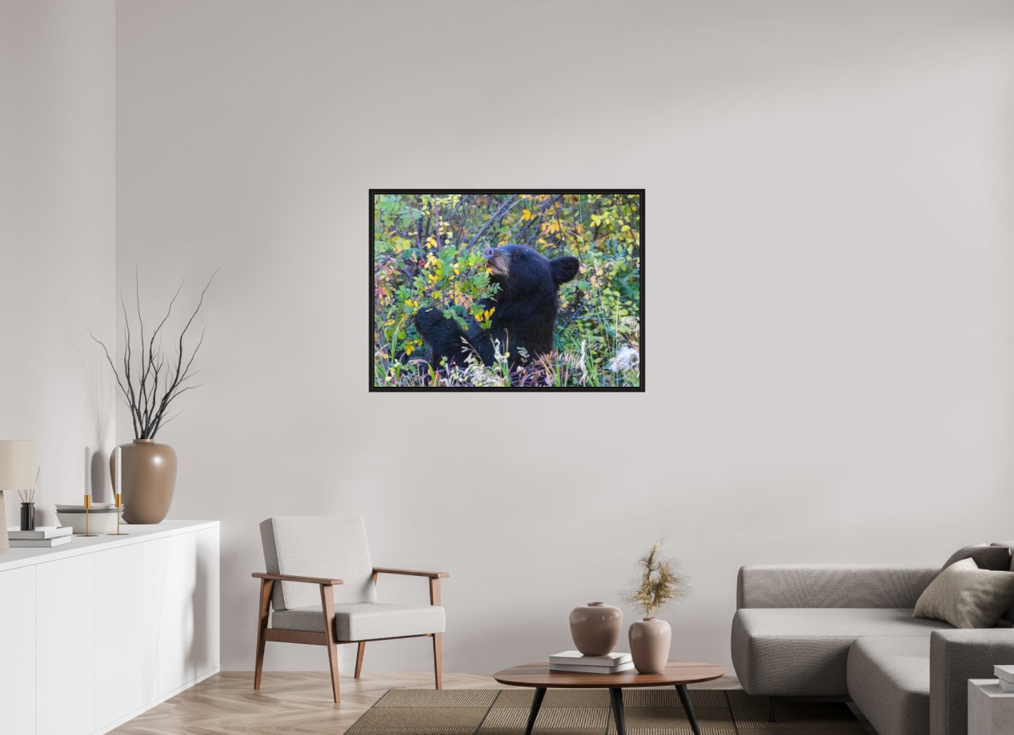 Young Black Bear
