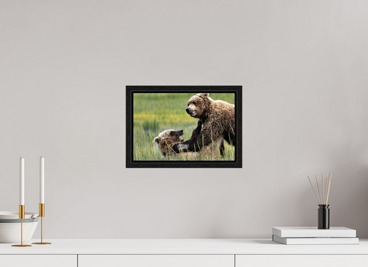 Bears Playing