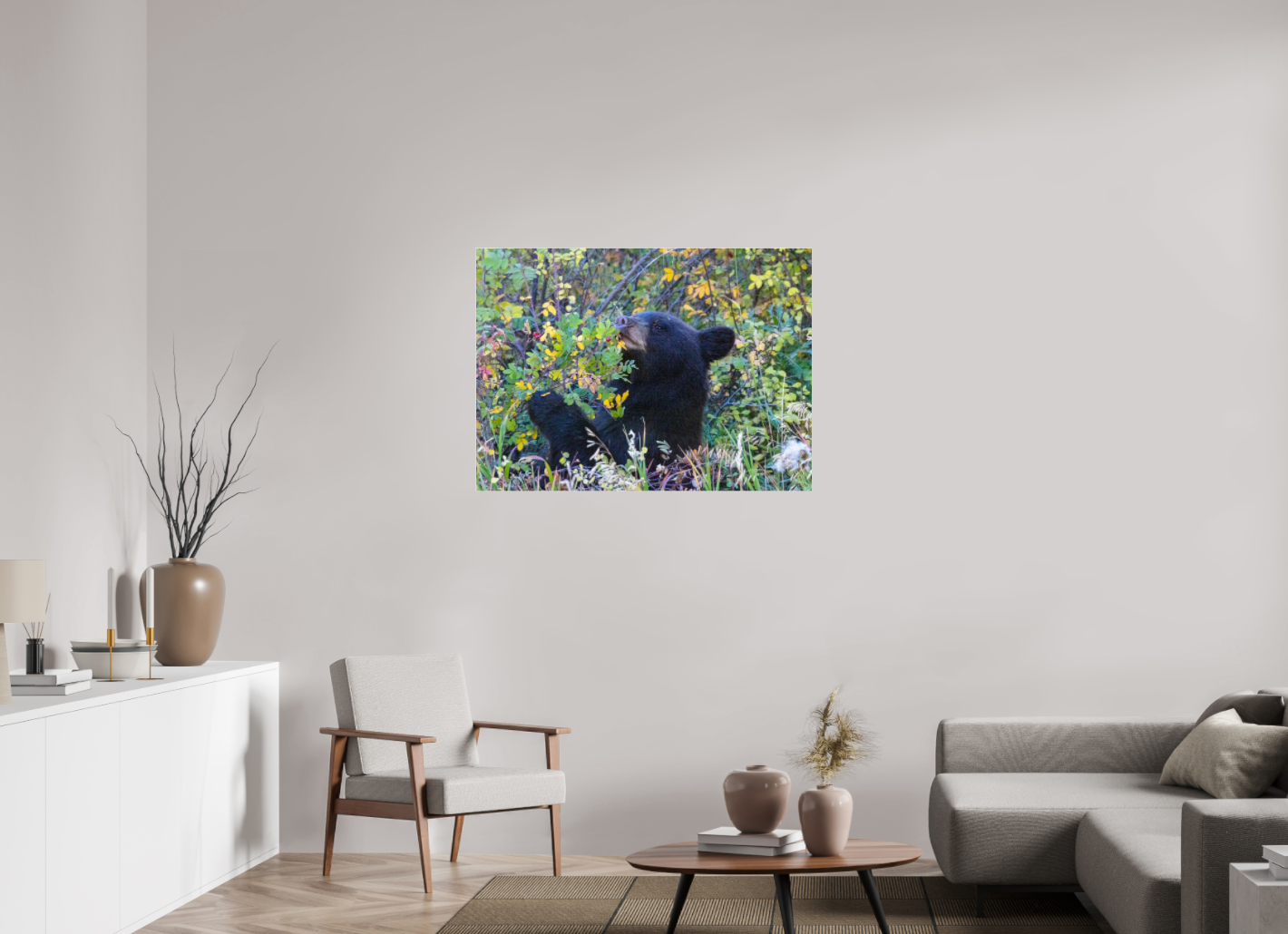 Young Black Bear