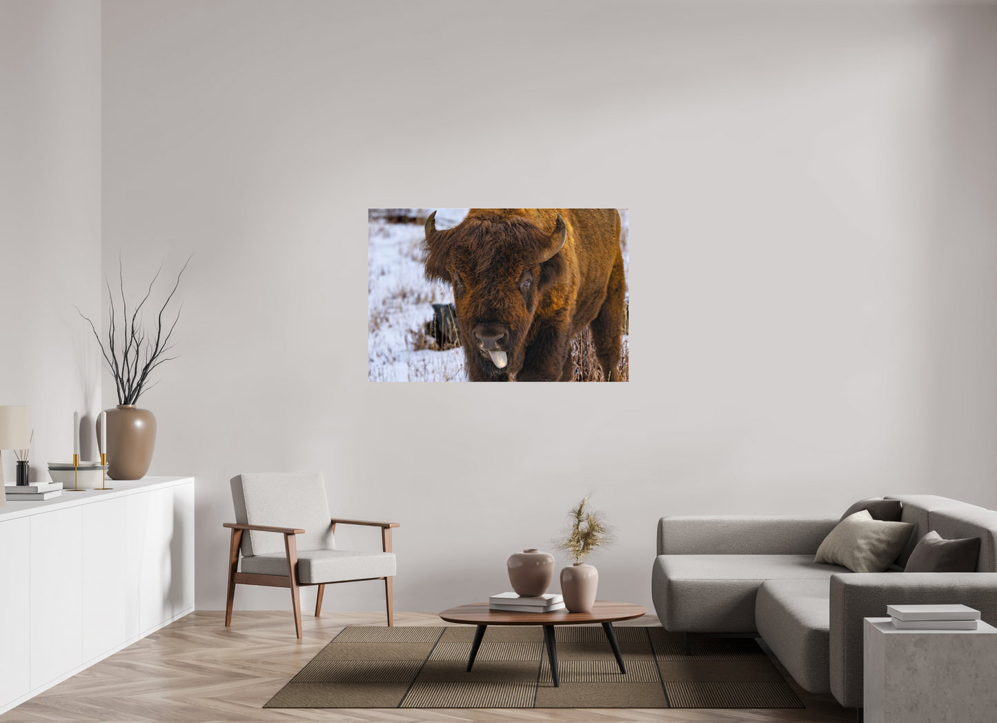 54 x 36″, Photo Print Under Acrylic Glass Bison Tongue