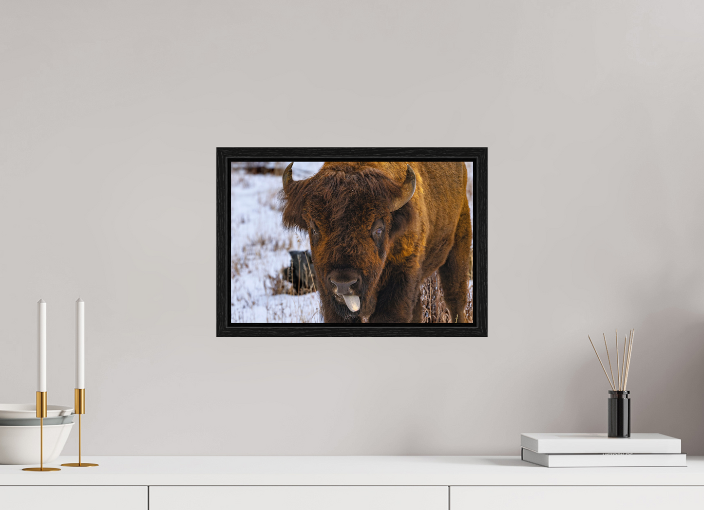 15 x 10″, Floater Frame Bison Tongue