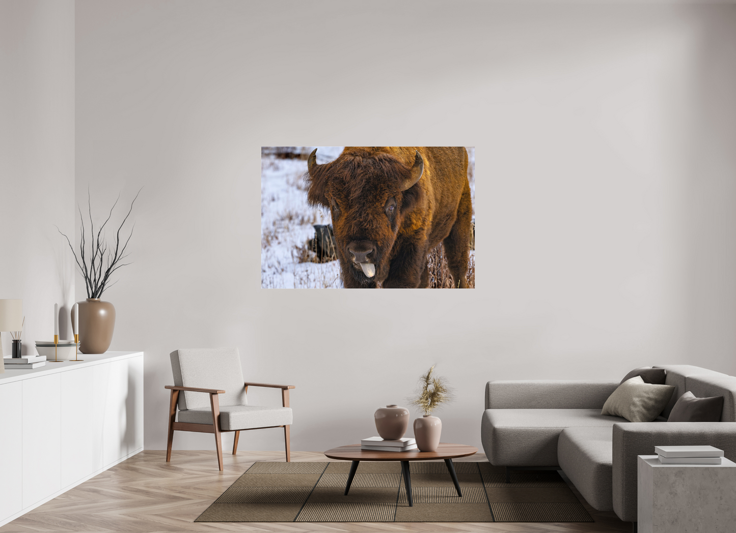 60 x 40″, Photo Print Under Acrylic Glass Bison Tongue