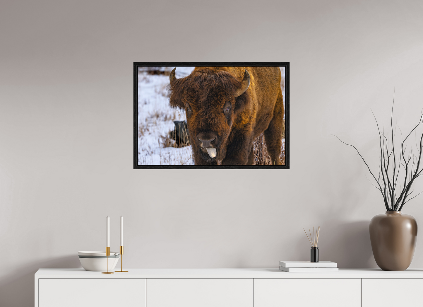 30 x 20″, Floater Frame Bison Tongue