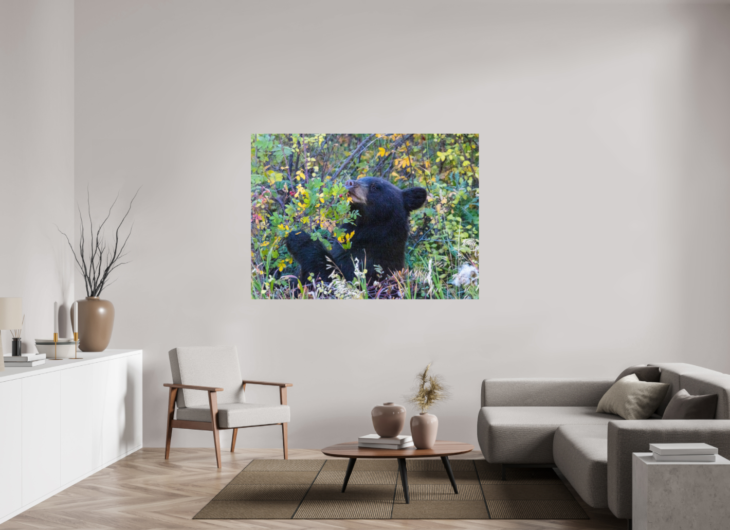 Young Black Bear