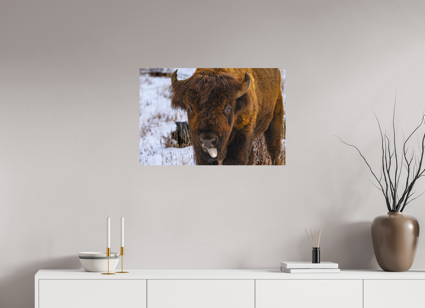 30 x 20″, Photo Print On Fuji Crystal DP II Bison Tongue
